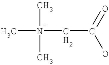 betaine_hci_digest_enzyme