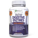 BioGanix BioZyme Digestive Enzymes 