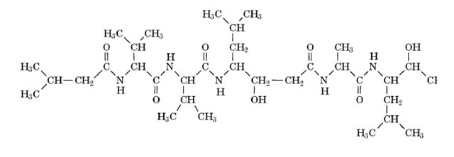 Enzyme Guides – Page 3 – Best Digestive Enzyme