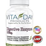 Vita Day Products Digestive Enzymes